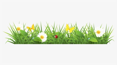 Grass Png Image, Green Picture - Spring Vector Free, Transparent Png, Transparent PNG