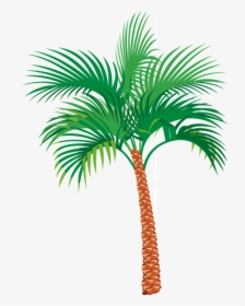 Palm Tree Graphics - Palm Tree Png Gif, Transparent Png, Transparent PNG