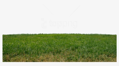 Transparent Grass Background Png - Land Background Png, Png Download, Transparent PNG