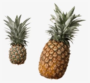 Pineapple Duo - Fresh And Canned Pineapple, HD Png Download, Transparent PNG