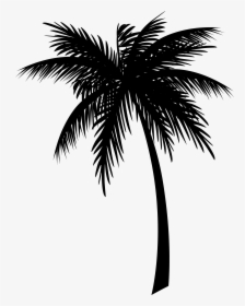 Jamaica Coconut Clip Art Drawing Palm Trees - Coconut Tree Silhouette Png, Transparent Png, Transparent PNG