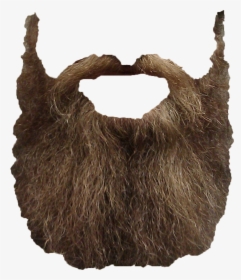 Beard Png - Brown Beard Transparent Background, Png Download, Transparent PNG