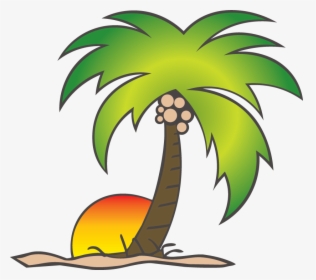 Transparent Coconut Tree Png - Cartoon Palm Tree With Coconuts, Png Download, Transparent PNG