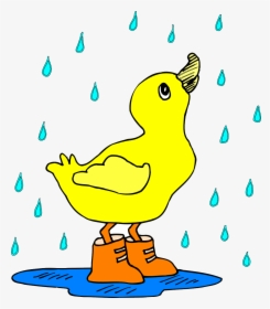 Duck In The Rain Svg Clip Arts - Duck In The Rain Cartoon, HD Png Download, Transparent PNG