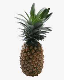 Pineapple Png No Background - Pineapple With No Background, Transparent Png, Transparent PNG