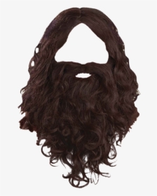 Man Beard png images