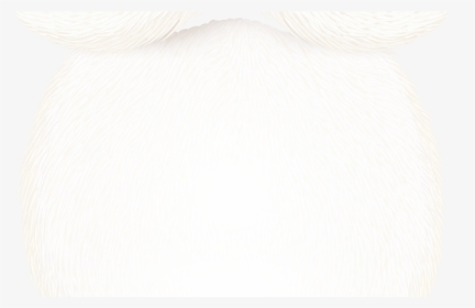 Transparent Beard Png - White Stork, Png Download, Transparent PNG