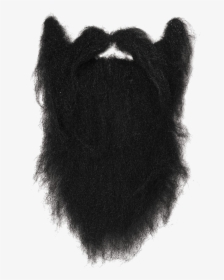 Black-hair - Long Black Beard Png, Transparent Png, Transparent PNG
