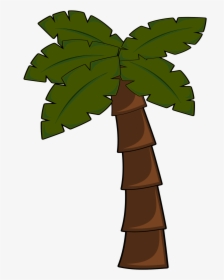 Clip Art Clip Art Palm Tree - Jungle Tree Clipart, HD Png Download, Transparent PNG