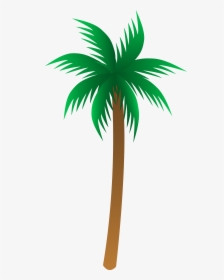 Palm Tree Clip Art Transparent Background - Palm Tree Png Vector, Png Download, Transparent PNG