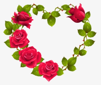 Red Rose Flower Border Design Png - Beautiful Rose Image Download, Transparent Png, Transparent PNG
