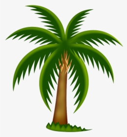 Cartoon Palm Tree Clip Art Free - Palm Tree Clip Art, HD Png Download, Transparent PNG