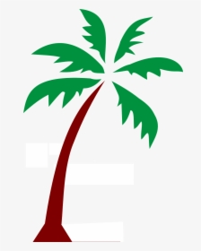 Island Palm Fronds Tree Png Image - Public Domain Palm Tree, Transparent Png, Transparent PNG