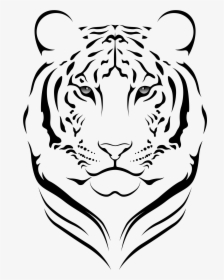 Transparent Tiger Face Png - Tigre Png Vector, Png Download, Transparent PNG