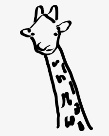Black And White Giraffe Neck, HD Png Download, Transparent PNG