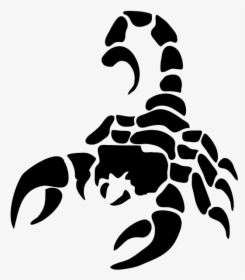 Scorpion Png Image - Transparent Background Scorpion Logo, Png Download, Transparent PNG