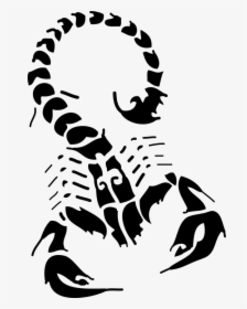 Scorpion Tattoo Flash Drawing - House Of The Scorpion Drawings, HD Png Download, Transparent PNG