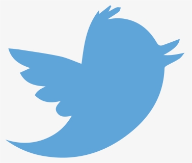 Twitter Logo Png Transparent Background - Transparent Background Twitter Logo, Png Download, Transparent PNG