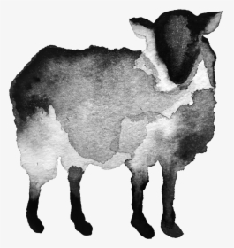 Black Sheep Transparent Copy - Black Sheep Transparent, HD Png Download, Transparent PNG