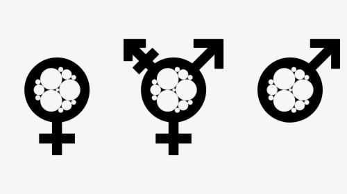 Transparent Gender Symbols Png - Transgender Flag, Png Download, Transparent PNG