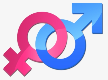 Gender Symbol Parity Transprent Png - Men And Women Logo, Transparent Png, Transparent PNG