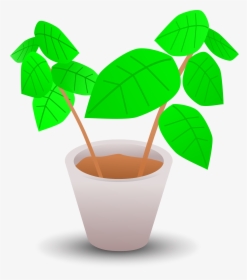 Plant In A Pot - Pot Plant Clip Art, HD Png Download, Transparent PNG