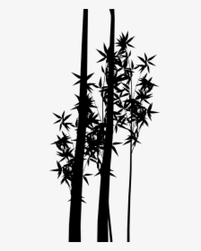 Silhouette Plant Stem Bamboo Branching Plants - Silueta De Plantas Png, Transparent Png, Transparent PNG
