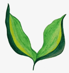 Plant Stem,plant,flower - Painted Leaf Transparent Background, HD Png Download, Transparent PNG