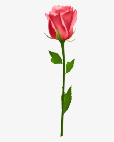 Flowers Clipart Stems - Transparent Background Rose Png, Png Download, Transparent PNG