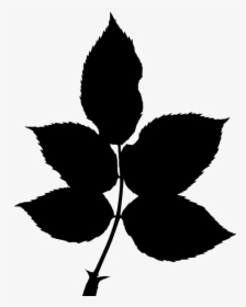 Plant,flower,leaf - Rose Leaf Silhouette, HD Png Download, Transparent PNG