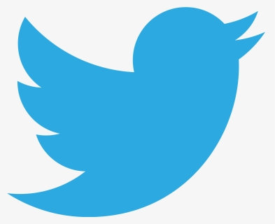 Vector Twitter Logo Svg, HD Png Download, Transparent PNG