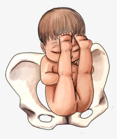 The Ultimate Guide To Baby Position In The Womb Natural - Breech Position Baby Girl, HD Png Download, Transparent PNG