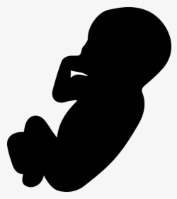 The Fruit, The Embryo, Pregnancy, Pregnant, Mother - Embriyo Png, Transparent Png, Transparent PNG