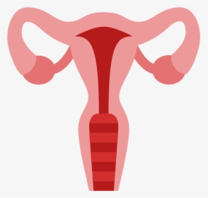 Clipart Baby Womb - Uterus Clipart, HD Png Download, Transparent PNG