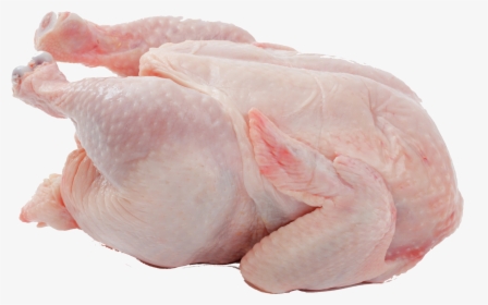 Transparent Chicken Png Transparent - Chicken Meat Png, Png Download, Transparent PNG