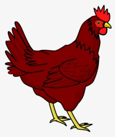 Download Chicken Png Transparent Image - Hen Clipart, Png Download, Transparent PNG