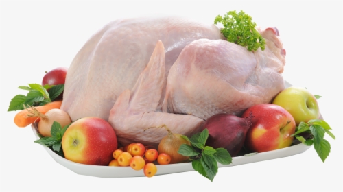 Chicken Png Free Commercial Use Images - Chicken Png, Transparent Png, Transparent PNG