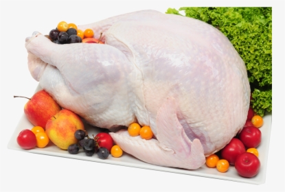 Full Chicken Png Background - Turkey Meat, Transparent Png, Transparent PNG