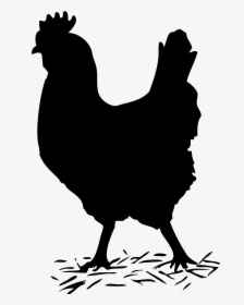 Black Solid Chicken Clip Arts - Hen Black And White, HD Png Download, Transparent PNG