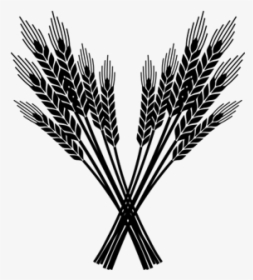 Noble Rice Icon - Png Rice Icon, Transparent Png, Transparent PNG