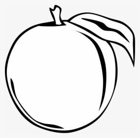 Simple Fruit Clip Arts - Plum Black And White Clipart, HD Png Download, Transparent PNG