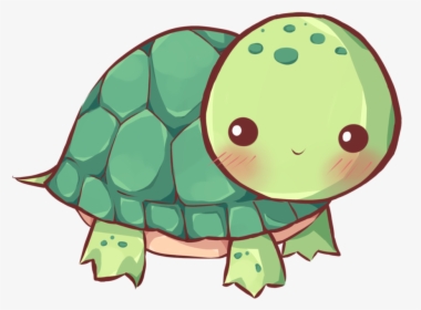 Cute Turtle Transparent Background, HD Png Download, Transparent PNG
