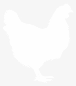 Chicken Silhouette V2 - Rooster Silhouette White, HD Png Download, Transparent PNG