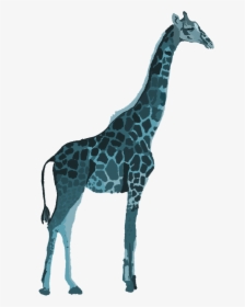 Transparent Giraffe Head Png - Giraffe, Png Download, Transparent PNG