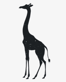 Giraffe Tiger Silhouette Animal Drawing - Silhouette Drawings Of Animals, HD Png Download, Transparent PNG