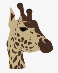 Transparent Giraffe Head Png - Giraffe, Png Download, Transparent PNG