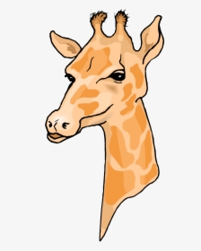 Giraffe 0 Images About Clip Art Zoo Jungle Animals - Giraffe Head Clipart, HD Png Download, Transparent PNG