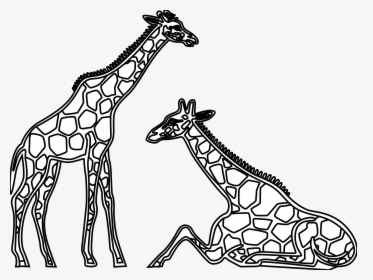 Panda Free Images - Giraffes Clipart Black And White, HD Png Download, Transparent PNG