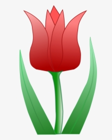 Tulip Transparent Illustration - Desenho Flor Tulipa Amarela Png, Png Download, Transparent PNG
