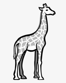 Monochrome Photography,artwork,deer - Clipart Image Of Giraffe, HD Png Download, Transparent PNG